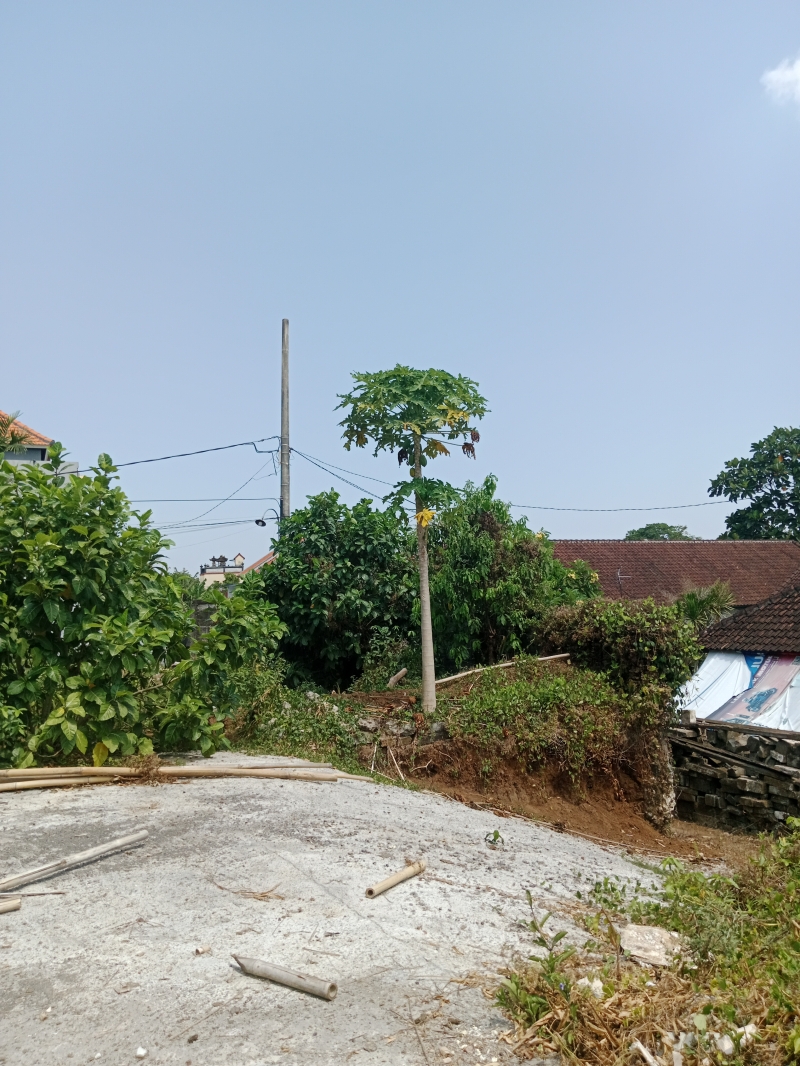 [LEASE] Tanah 1,7 Are, Sading, Mengwi