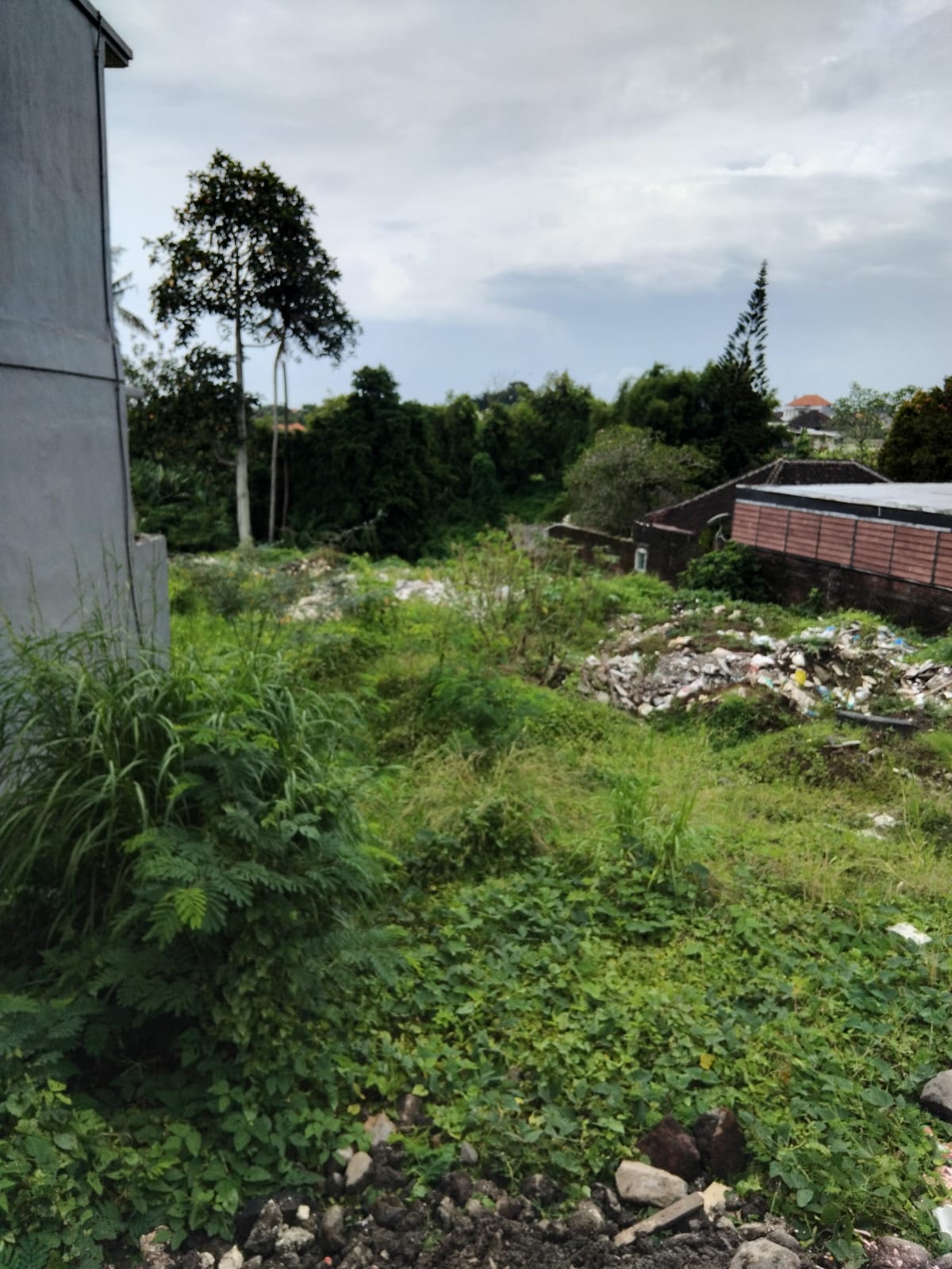 [DIJUAL] Tanah Strategis, Padang Tawang, Canggu